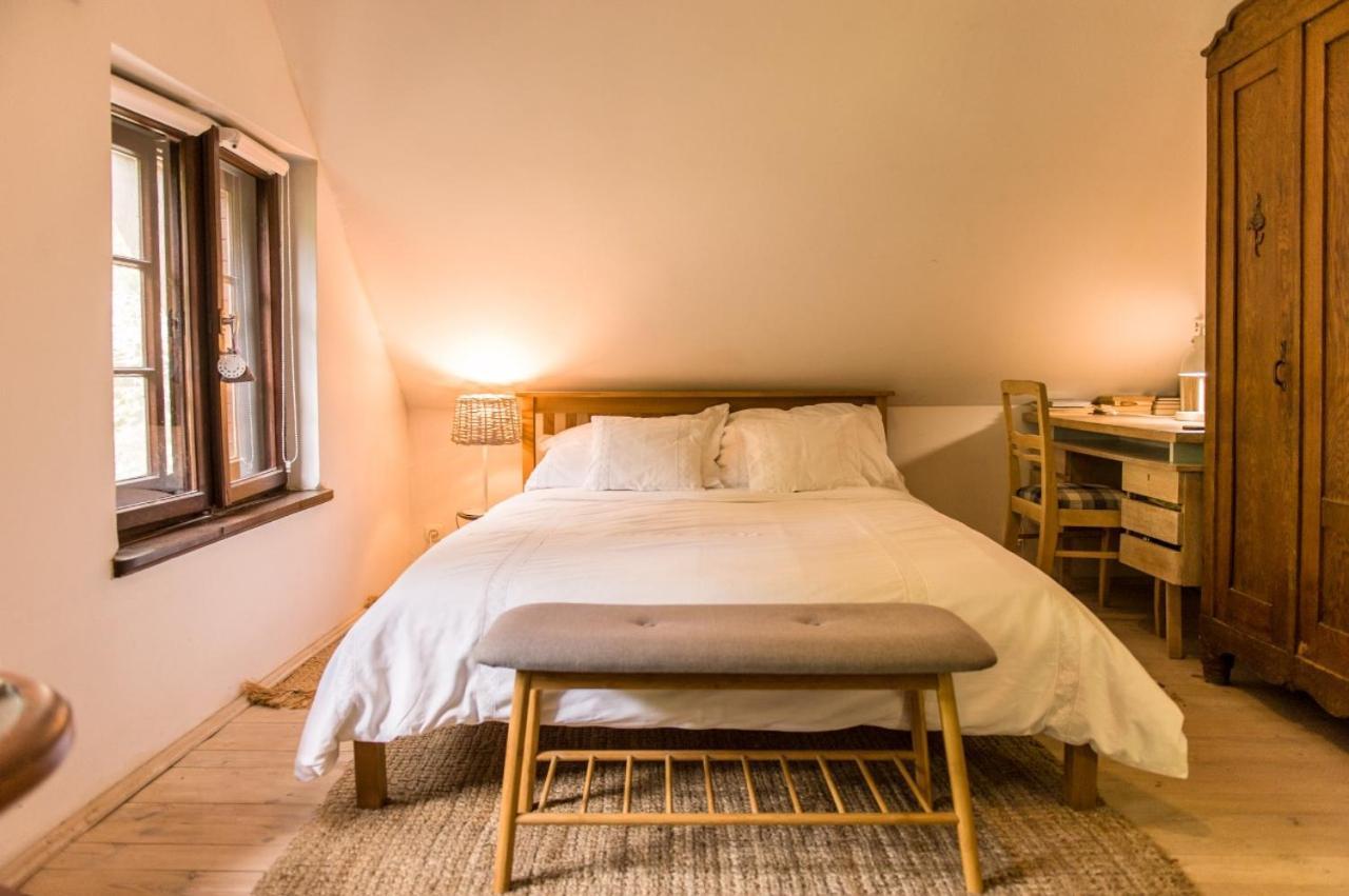 Apartment Birchy Hills Sitno (Pomerania)